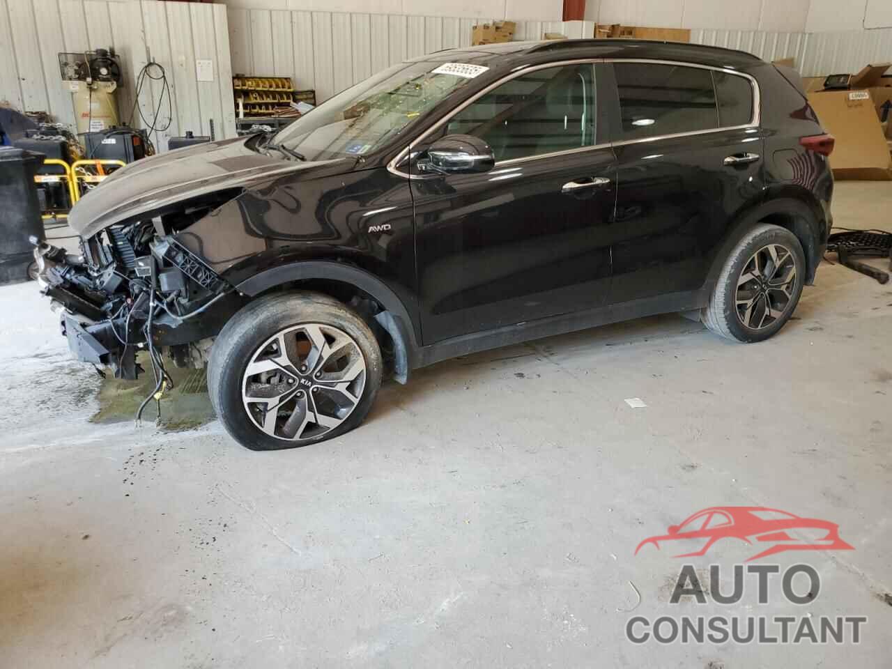 KIA SPORTAGE 2022 - KNDPNCAC1N7951977