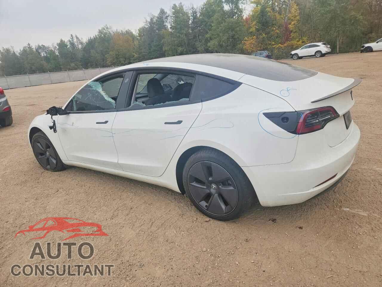 TESLA MODEL 3 2023 - LRW3E1EB6PC923426