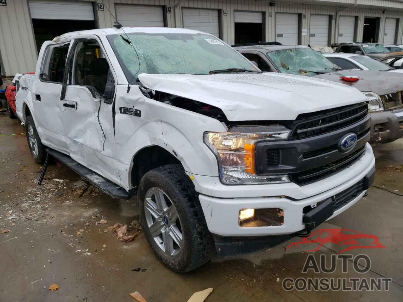 FORD F-150 2019 - 1FTEW1E55KFB34856