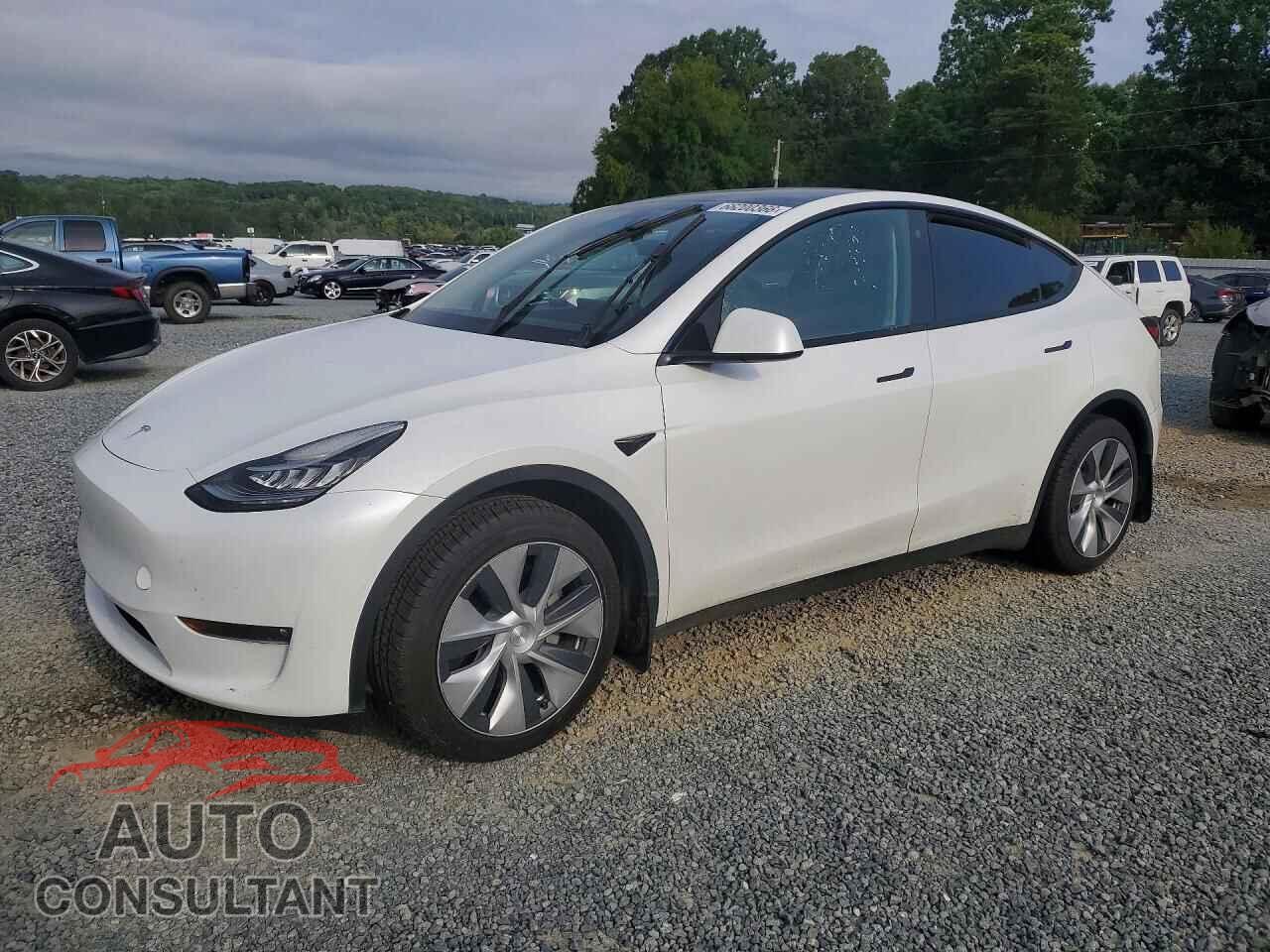 TESLA MODEL Y 2022 - 7SAYGDEE3NF421975