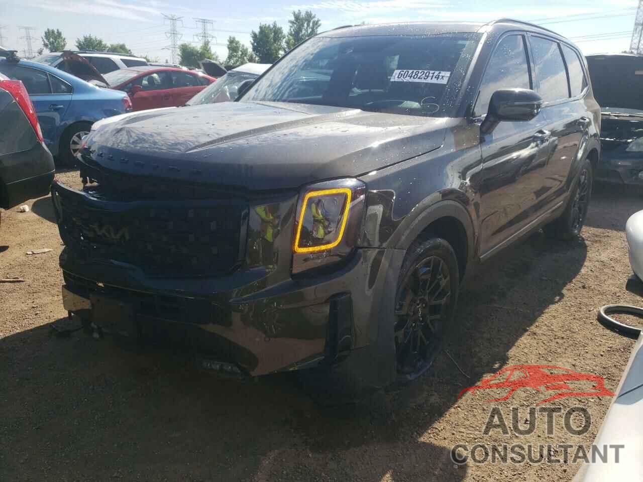 KIA TELLURIDE 2022 - 5XYP5DHC7NG323243