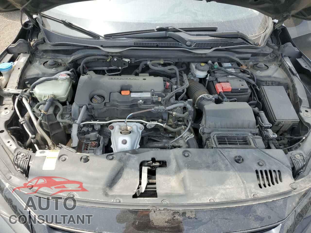 HONDA CIVIC 2019 - 2HGFC2F71KH008285