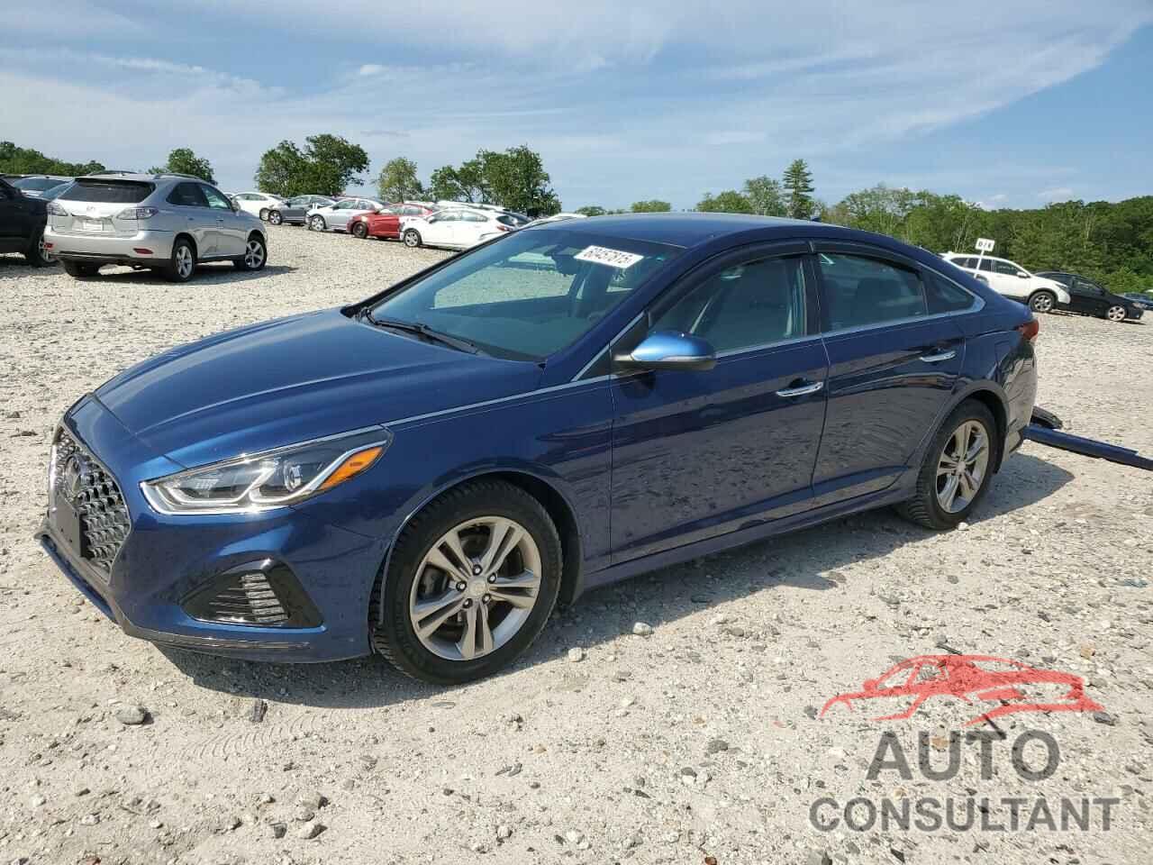 HYUNDAI SONATA 2019 - 5NPE34AF8KH810098