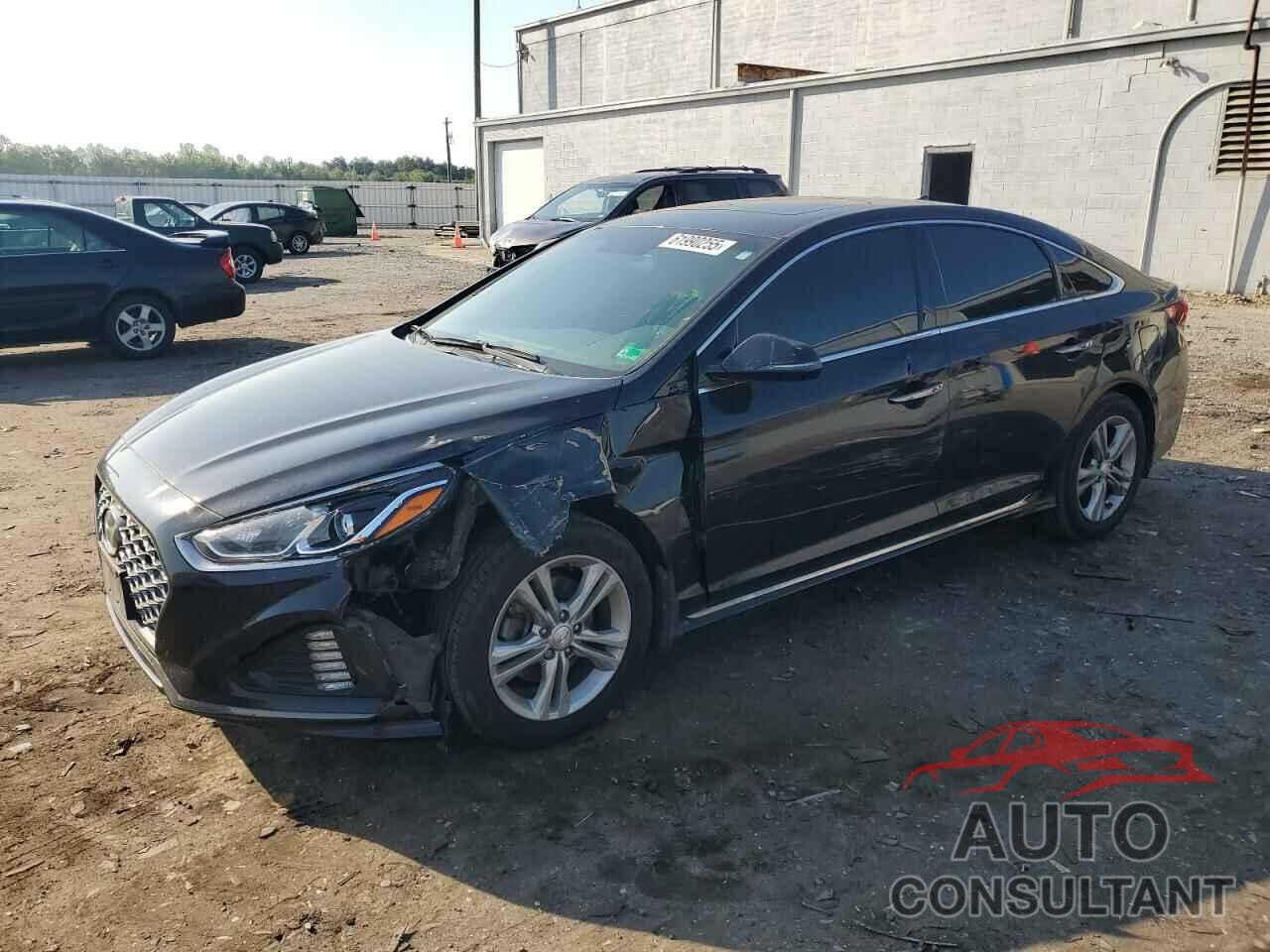 HYUNDAI SONATA 2019 - 5NPE34AF1KH790440