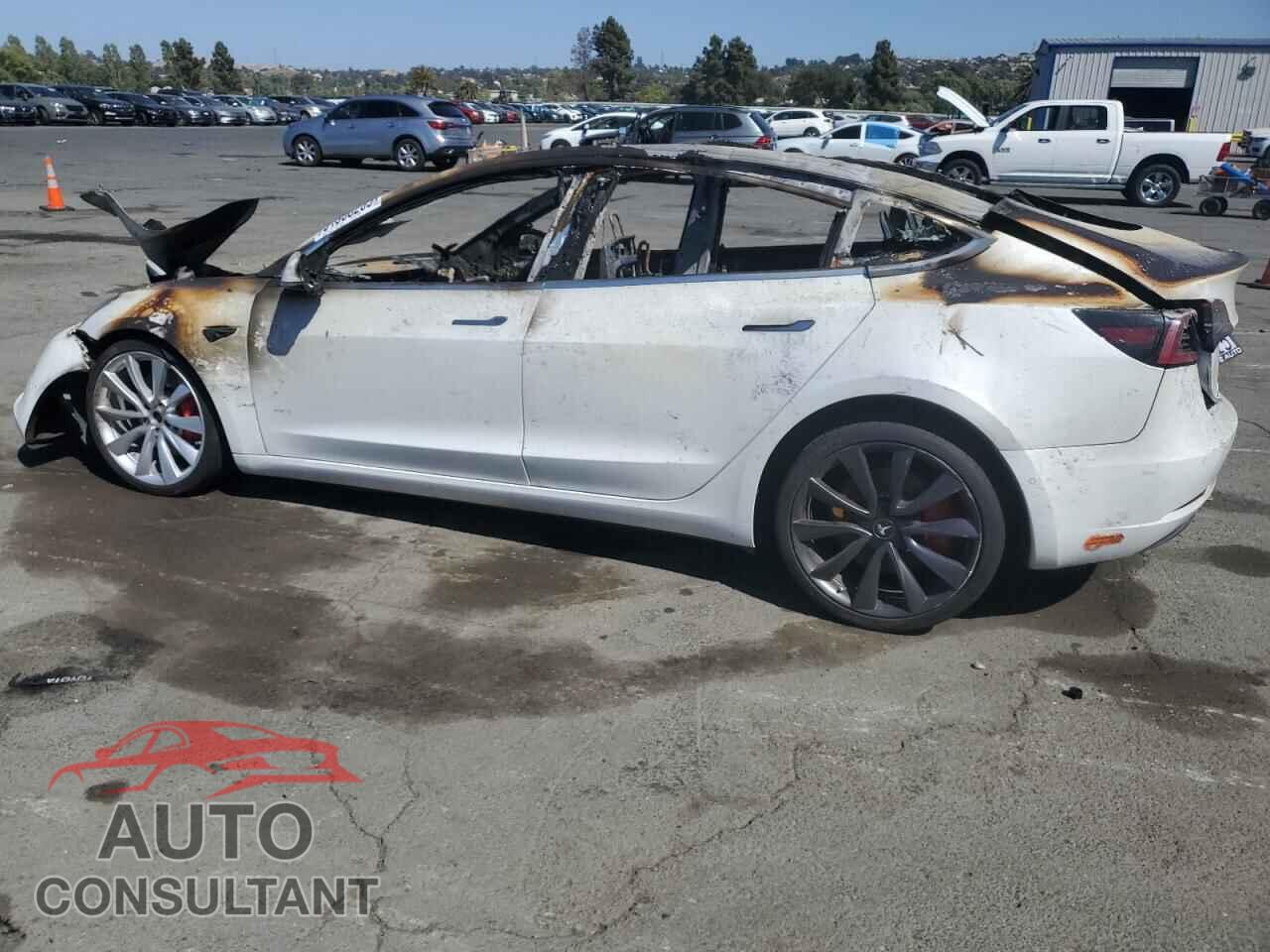 TESLA MODEL 3 2019 - 5YJ3E1EB0KF427861