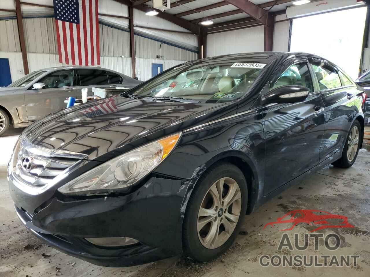 HYUNDAI SONATA 2013 - 5NPEC4AC2DH632326