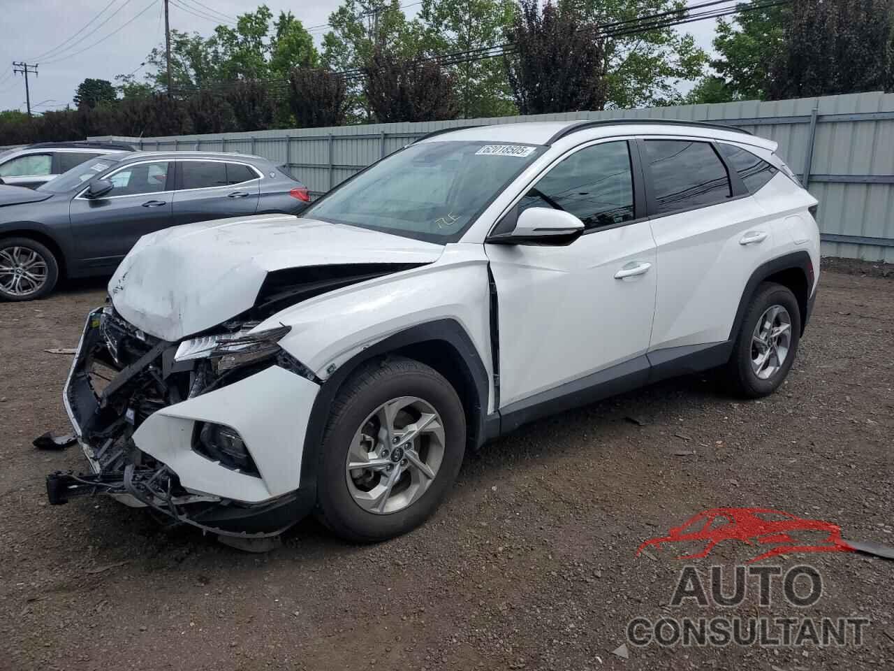 HYUNDAI TUCSON 2023 - 5NMJBCAE0PH245899