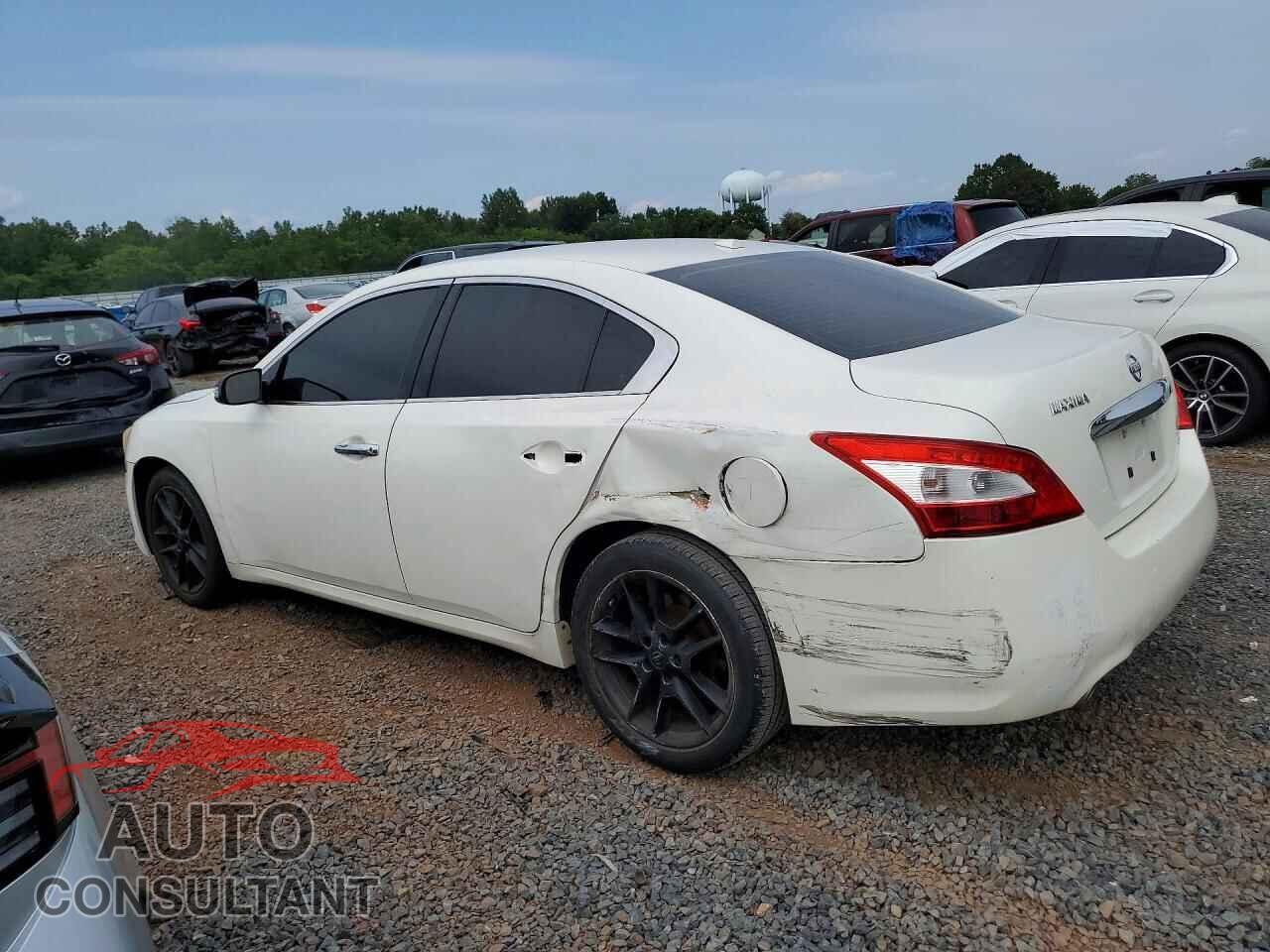 NISSAN MAXIMA 2011 - 1N4AA5AP6BC820536