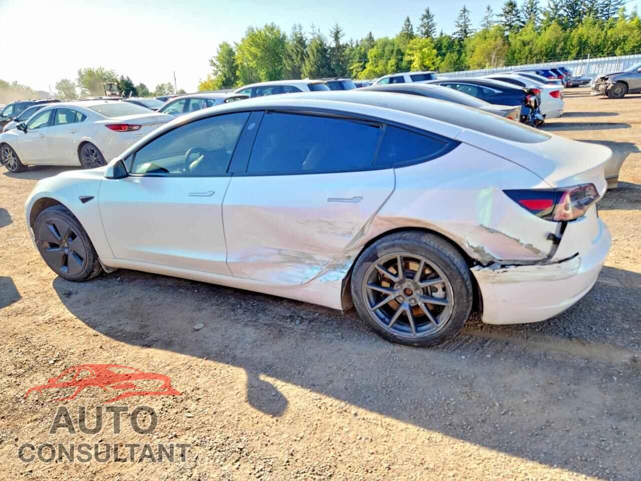 TESLA MODEL 3 2023 - 5YJ3E1EA8PF558311