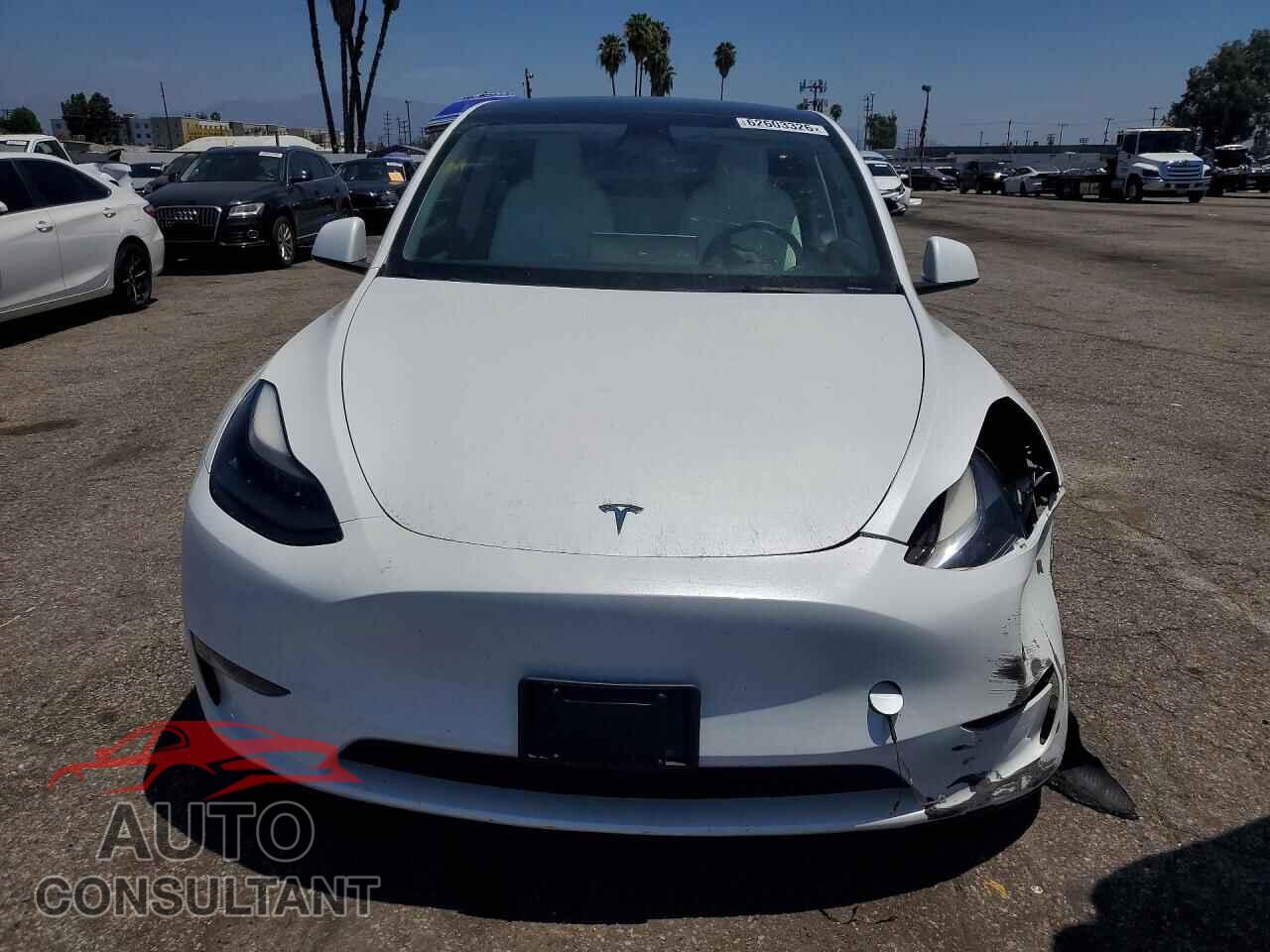 TESLA MODEL Y 2023 - 7SAYGDEEXPF630262