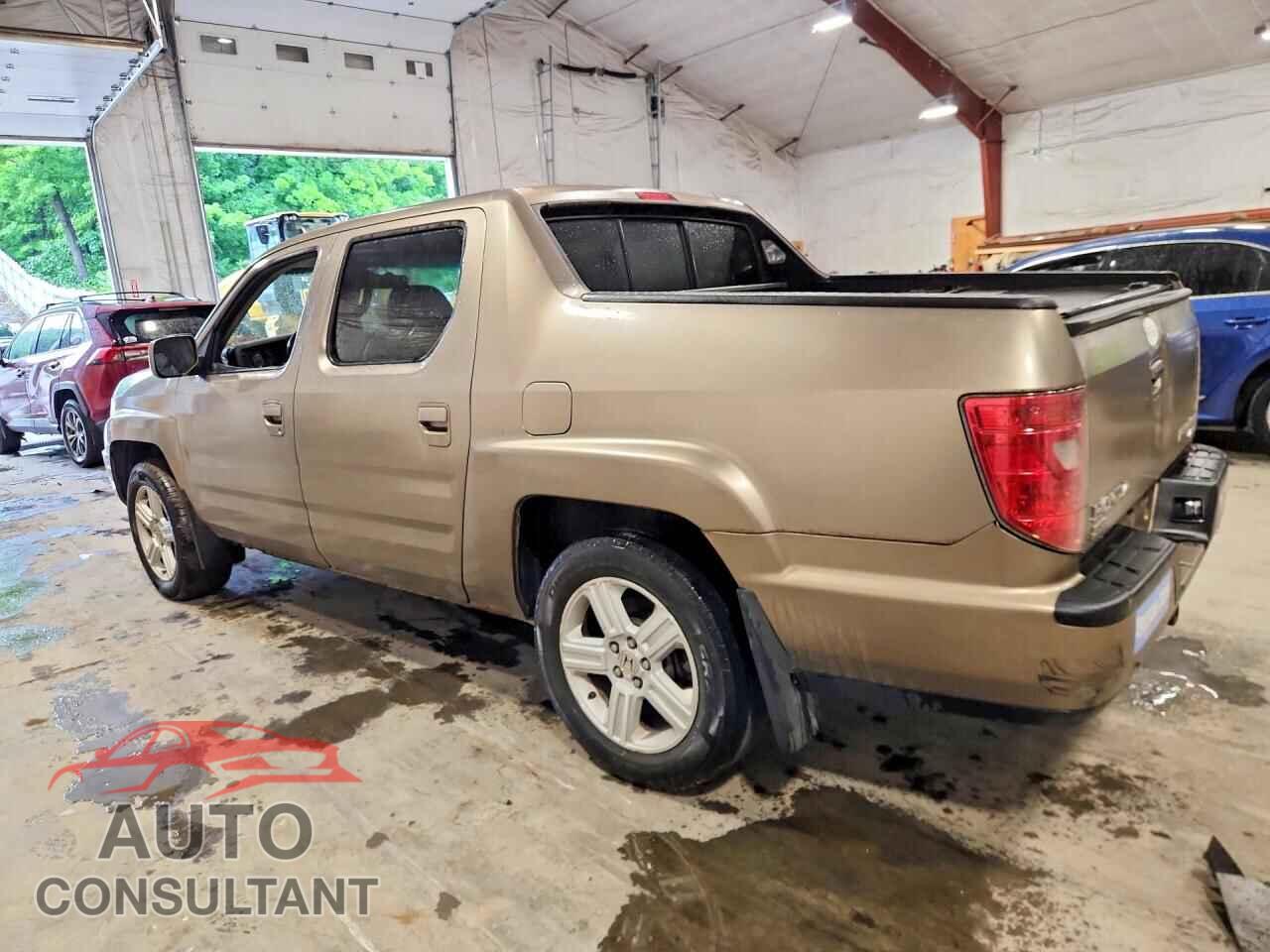 HONDA RIDGELINE 2009 - 5FPYK16519B104525
