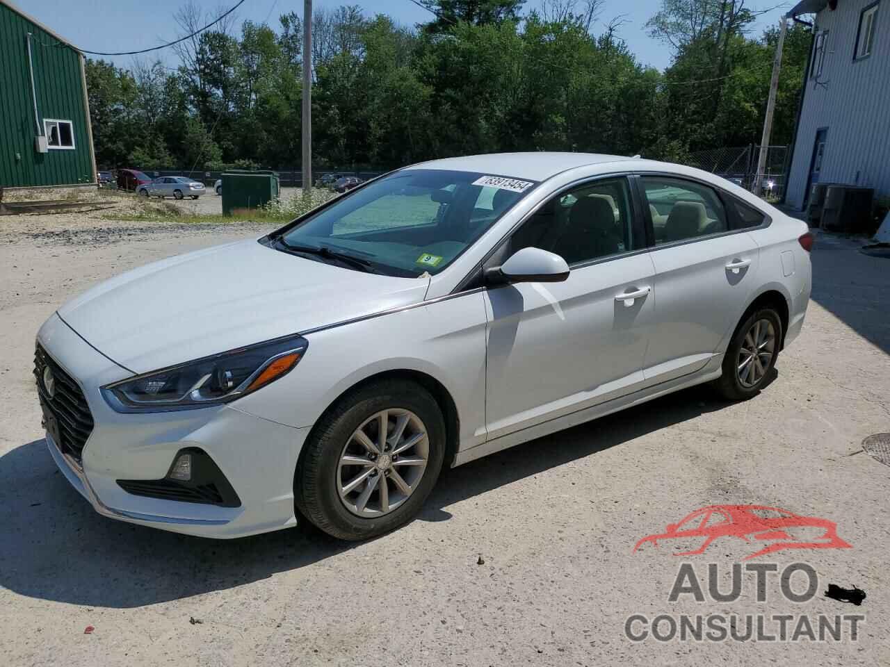 HYUNDAI SONATA 2019 - 5NPE24AF8KH791703