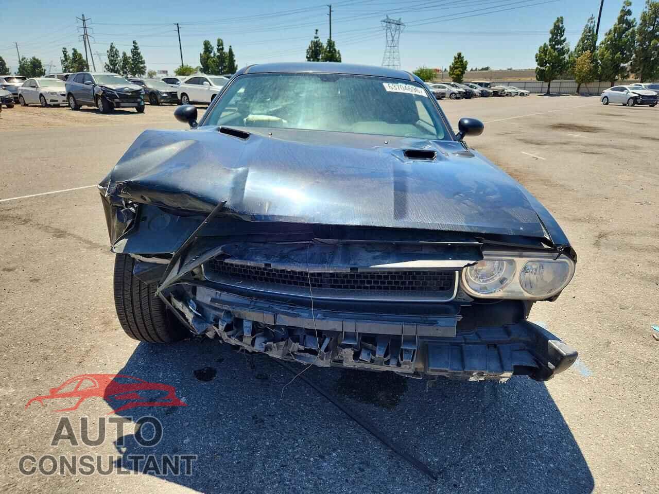 DODGE CHALLENGER 2014 - 2C3CDYAG5EH196469