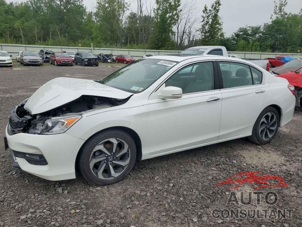 HONDA ACCORD 2016 - 1HGCR2F8XGA064208