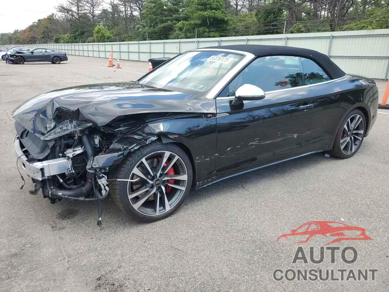 AUDI S5/RS5 2024 - WAUW4GF53RN003241