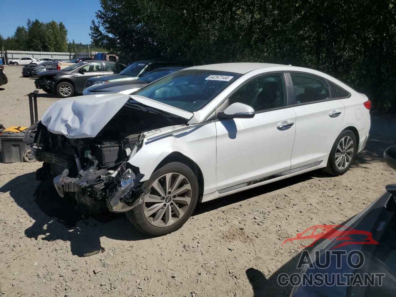 HYUNDAI SONATA 2016 - 5NPE34AF2GH310428