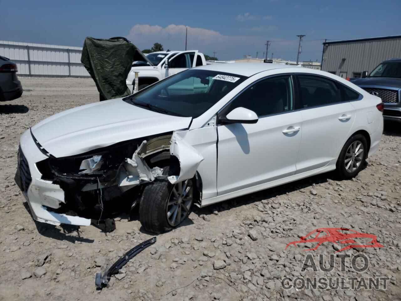 HYUNDAI SONATA 2019 - 5NPE24AF3KH741064
