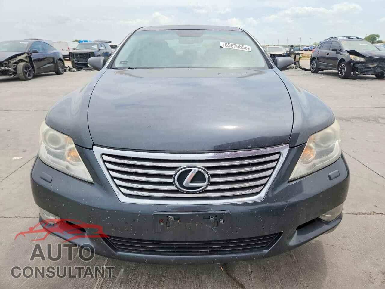 LEXUS LS460 2010 - JTHBL5EF6A5099128