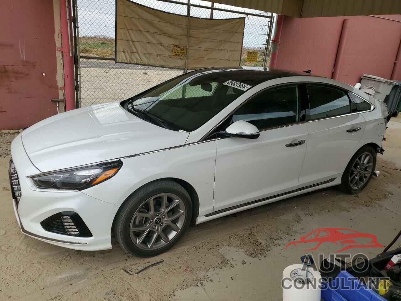 HYUNDAI SONATA 2019 - 5NPE34AB0KH789101