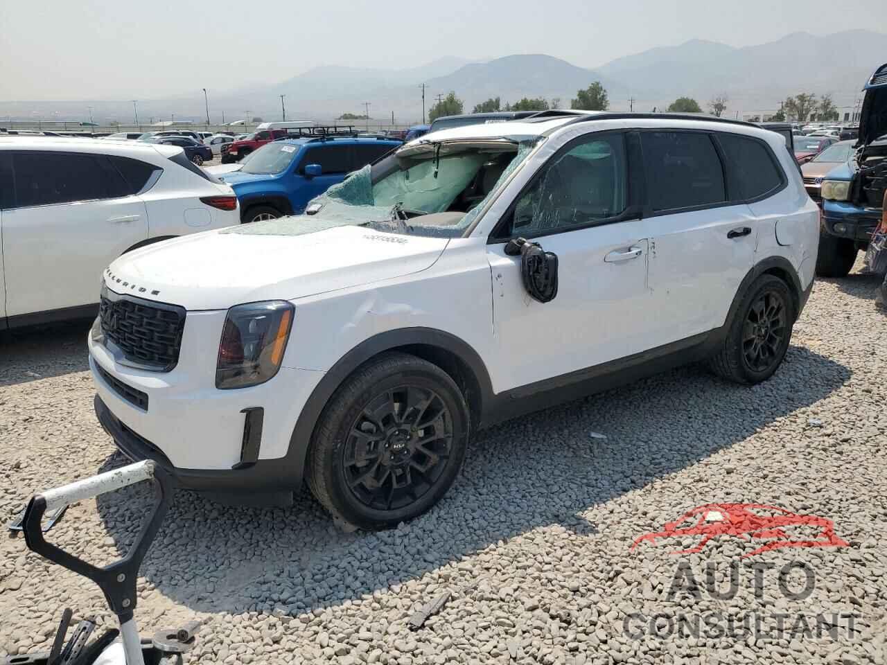 KIA TELLURIDE 2022 - 5XYP3DHC2NG318392