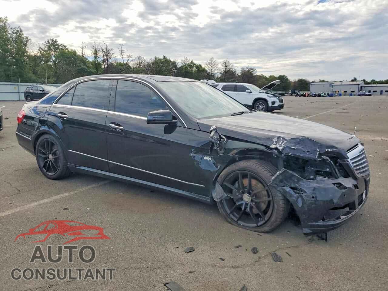 MERCEDES-BENZ E-CLASS 2010 - WDDHF8HBXAA174777