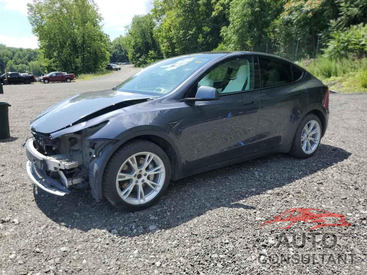 TESLA MODEL Y 2022 - 7SAYGDEE1NF511304