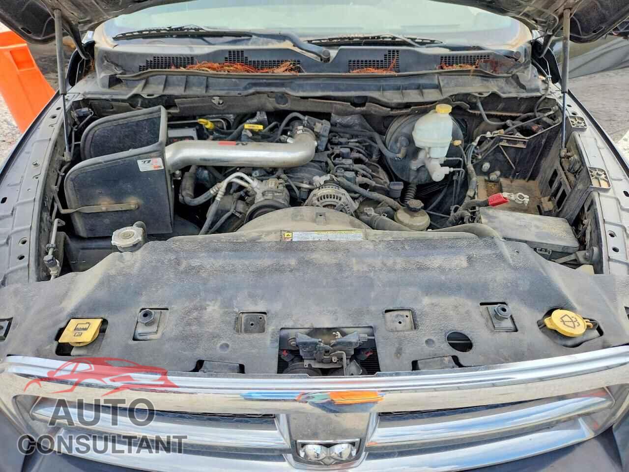 DODGE RAM 1500 2010 - 1D7RB1CP1AS247782