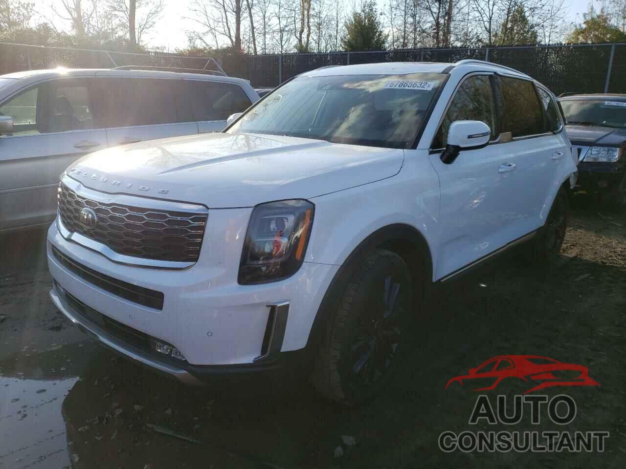 KIA TELLURIDE 2020 - 5XYP54HC1LG044545