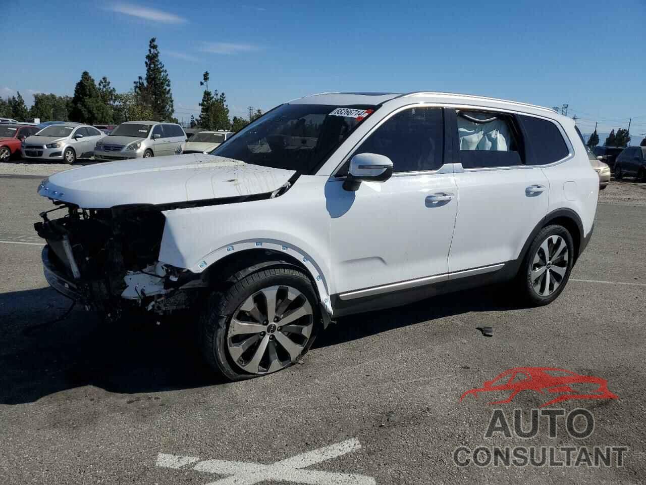 KIA TELLURIDE 2022 - 5XYP64HCXNG245702