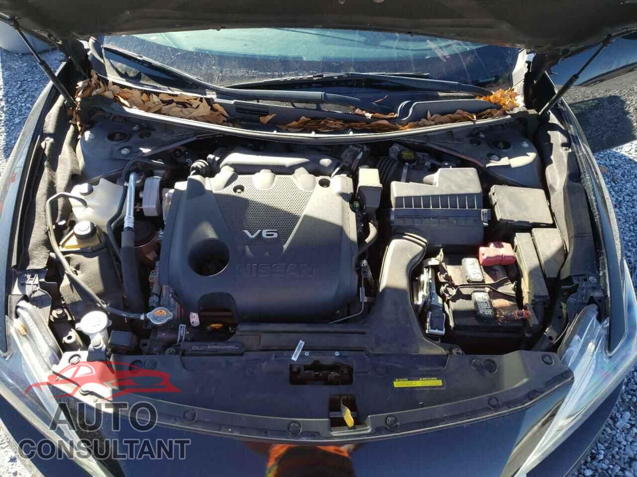 NISSAN MAXIMA 2017 - 1N4AA6AP3HC423400