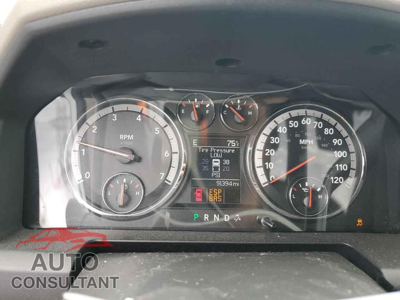 DODGE All Models 2010 - 1D7RB1CP4AS249574