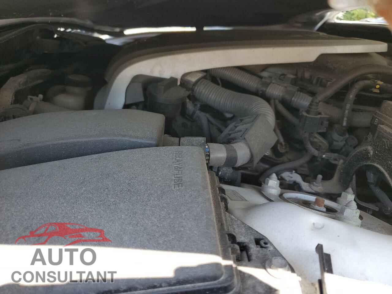 LEXUS IS 2019 - JTHC81D25K5034429