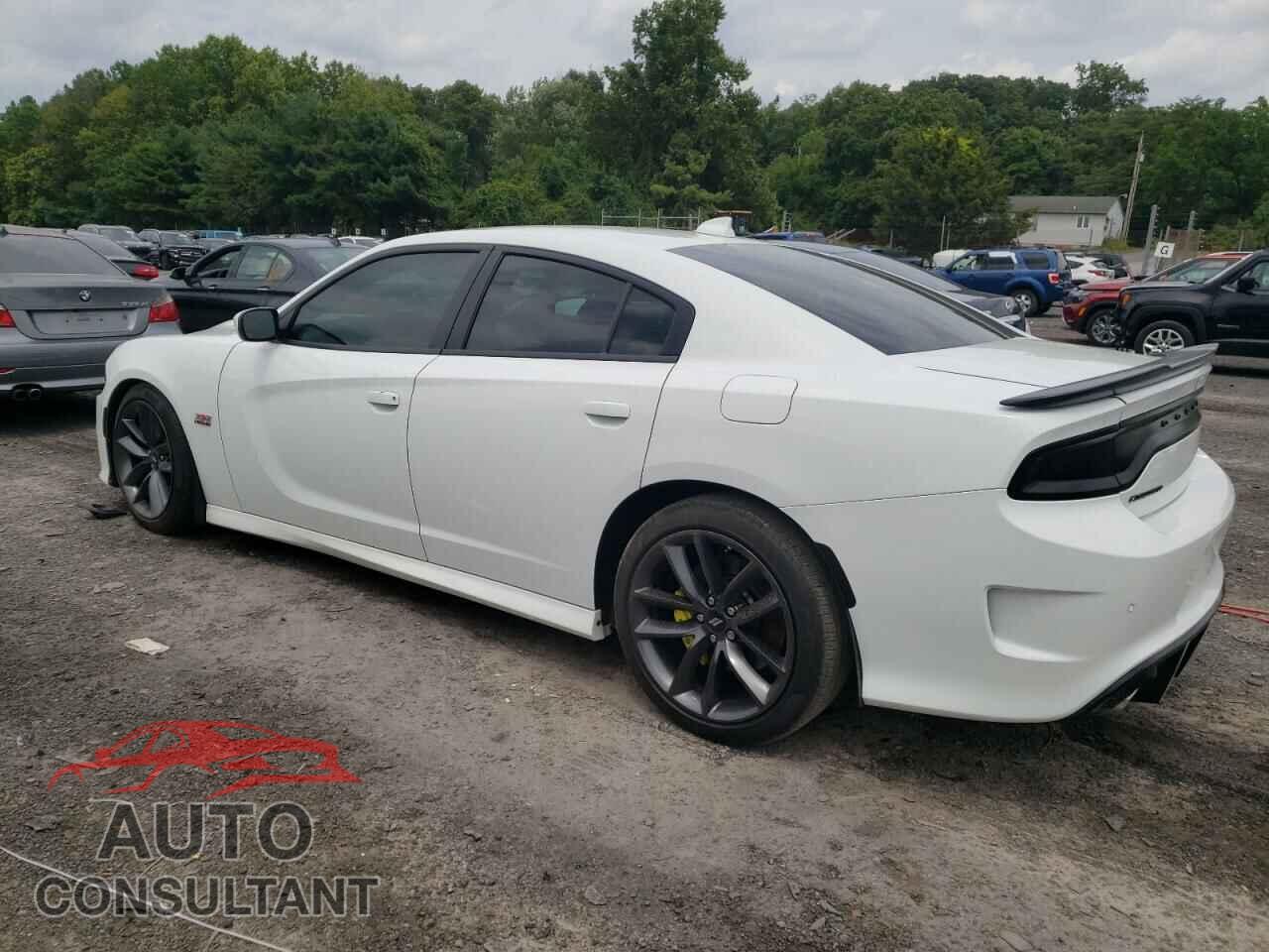 DODGE CHARGER 2019 - 2C3CDXGJ2KH706706