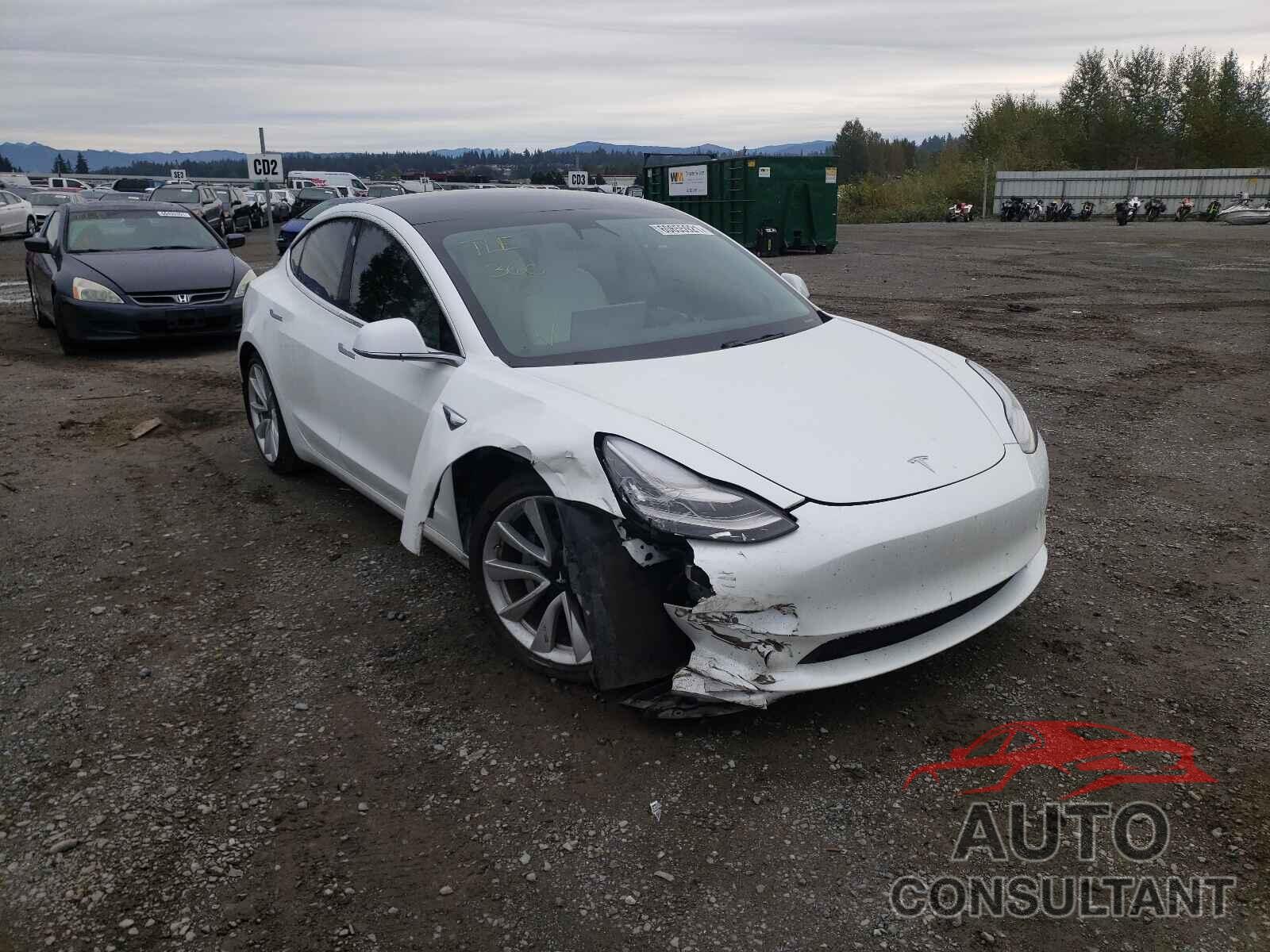 TESLA MODEL 3 2019 - 5YJ3E1EA2KF509842