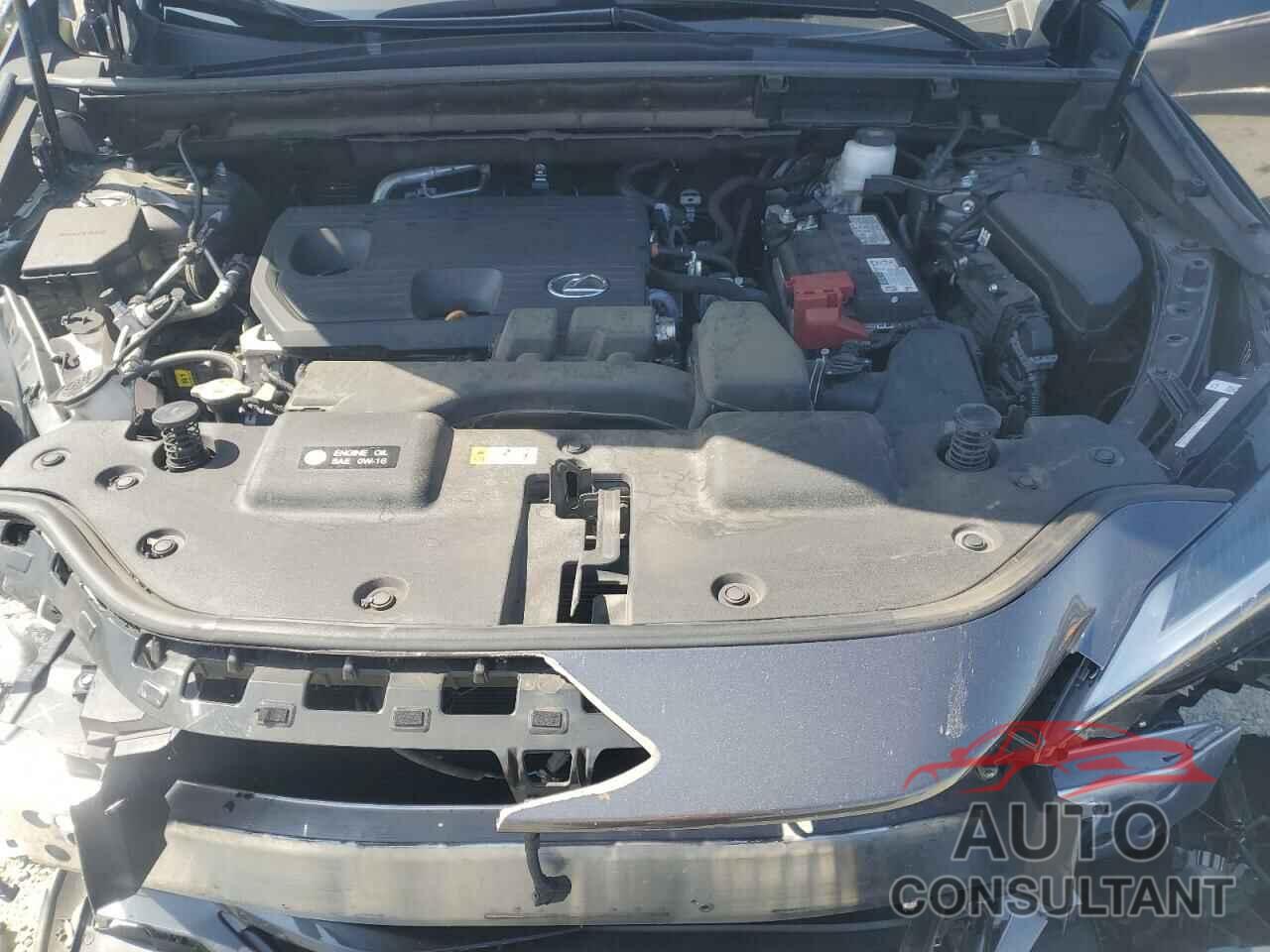 LEXUS NX 250 BAS 2024 - 2T2ADCAZ7RC010031