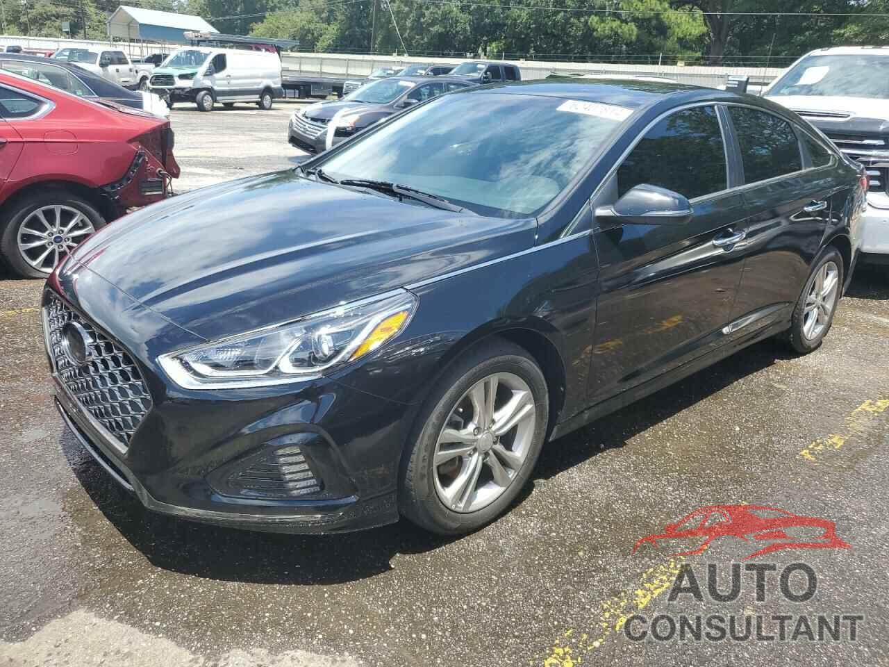 HYUNDAI SONATA 2019 - 5NPE34AF1KH788428