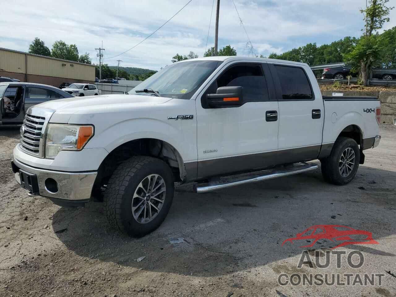 FORD F-150 2011 - 1FTFW1ET9BFD05529