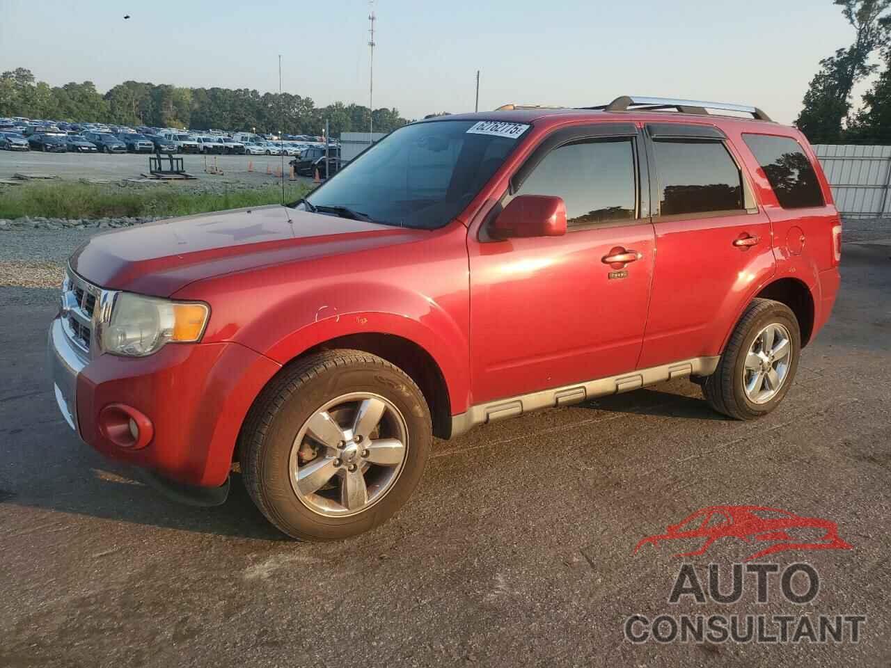 FORD ESCAPE 2011 - 1FMCU0EG1BKA52697