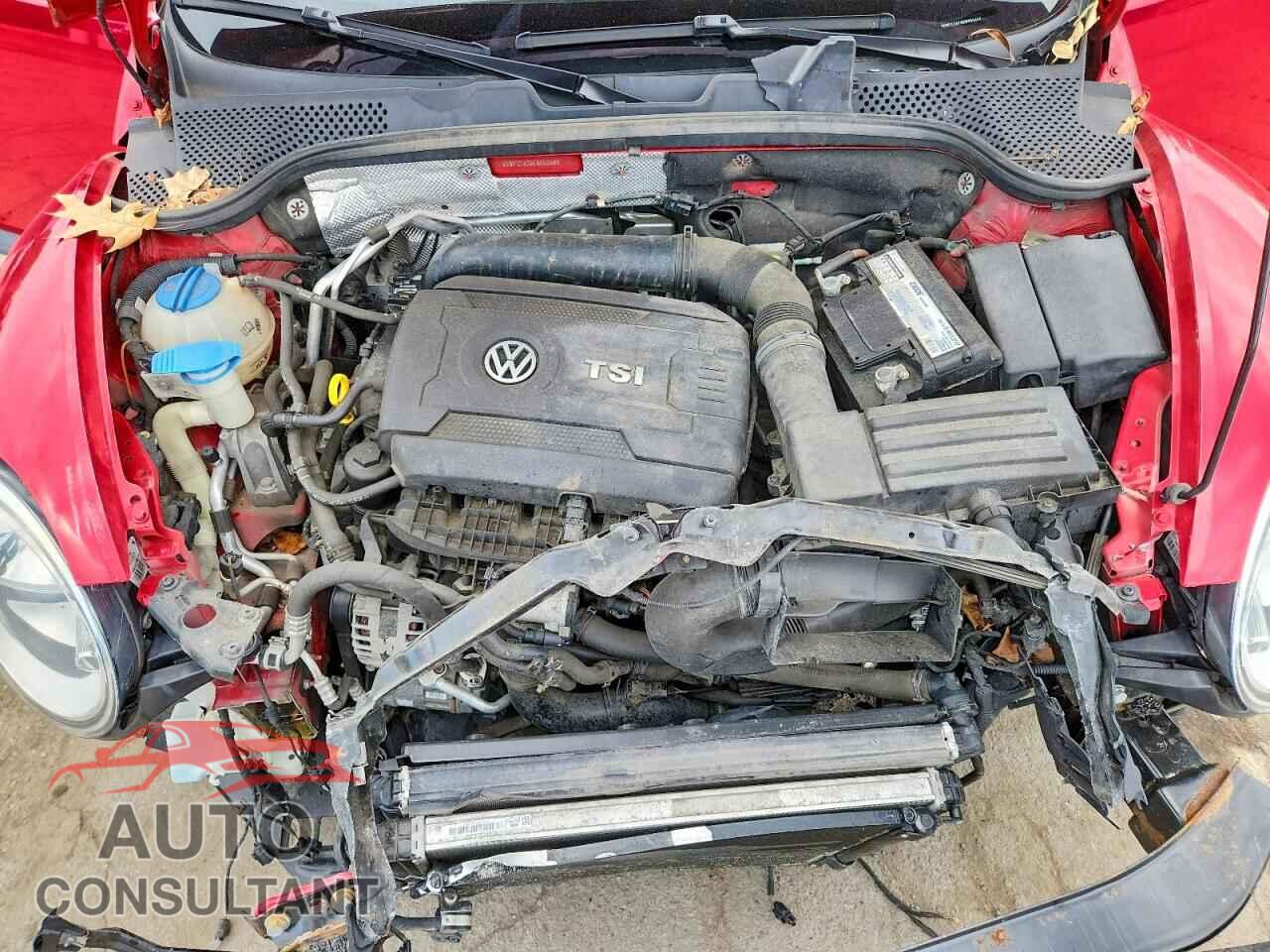 VOLKSWAGEN BEETLE 2014 - 3VWF17AT9EM656496