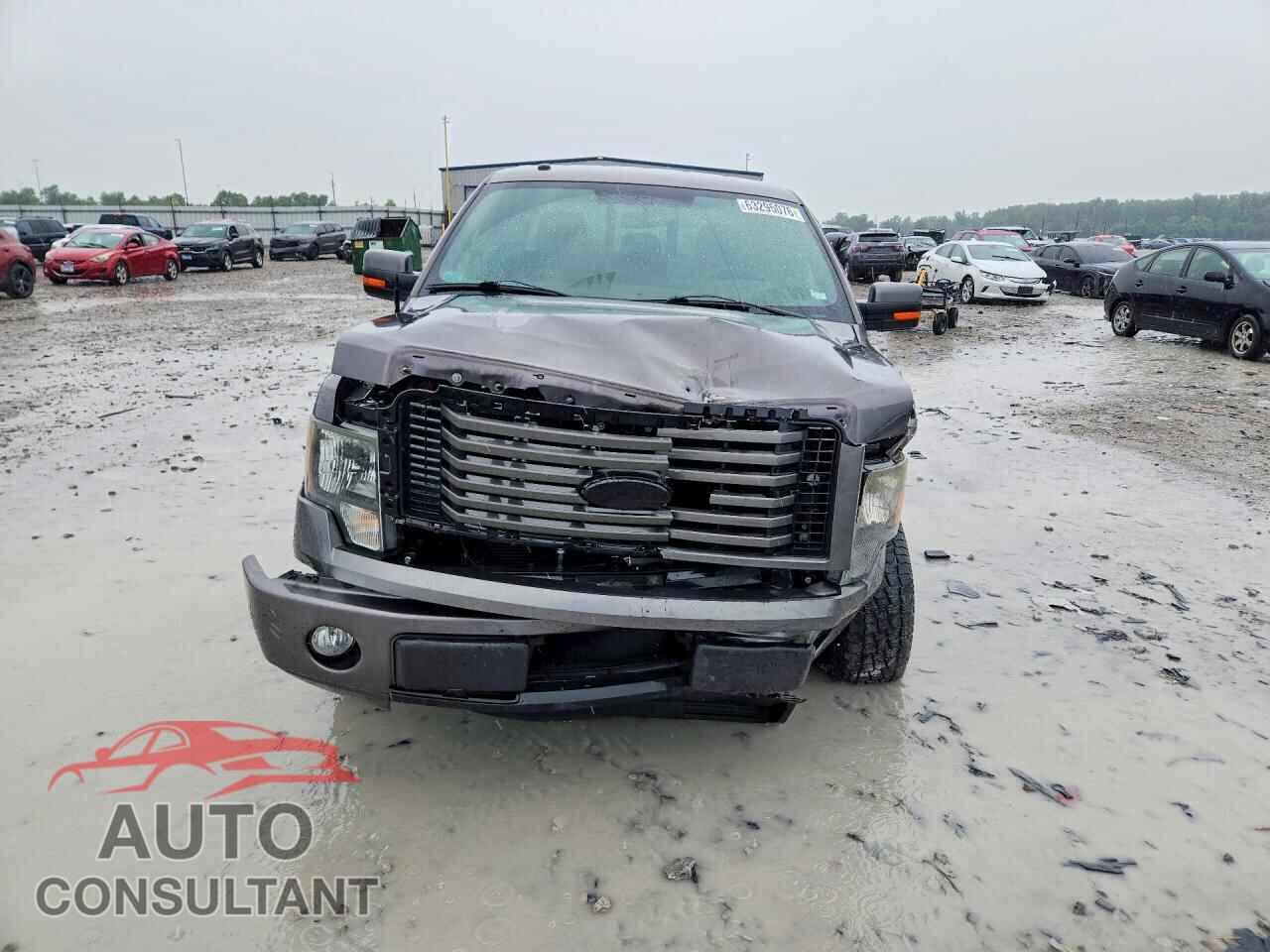 FORD F150 2012 - 1FTFX1CF0CFB64247