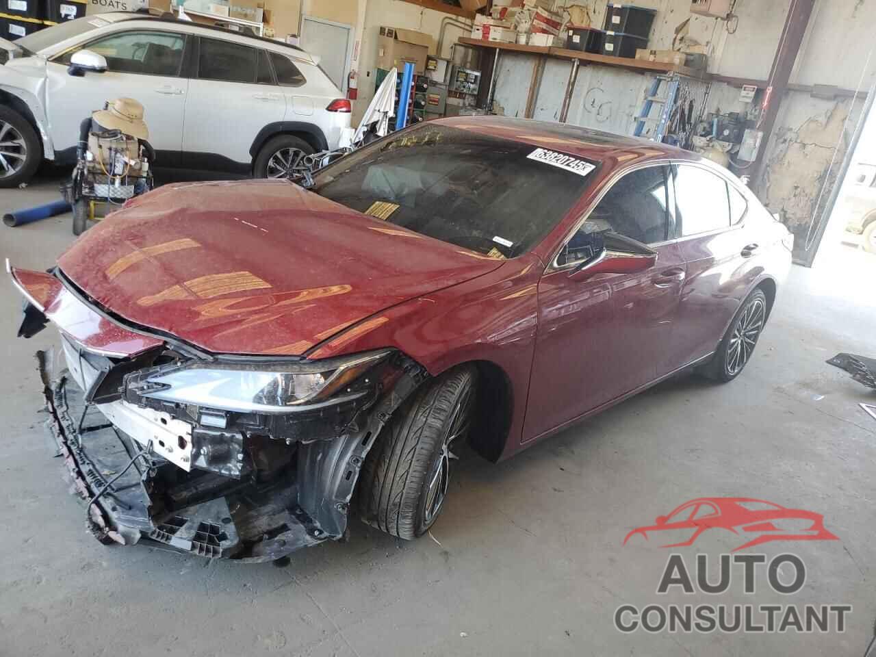 LEXUS ES300 2024 - 58ADA1C15RU051920