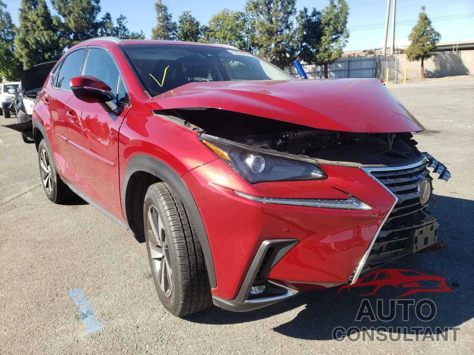 LEXUS NX 2019 - JTJBJRBZ4K2099304