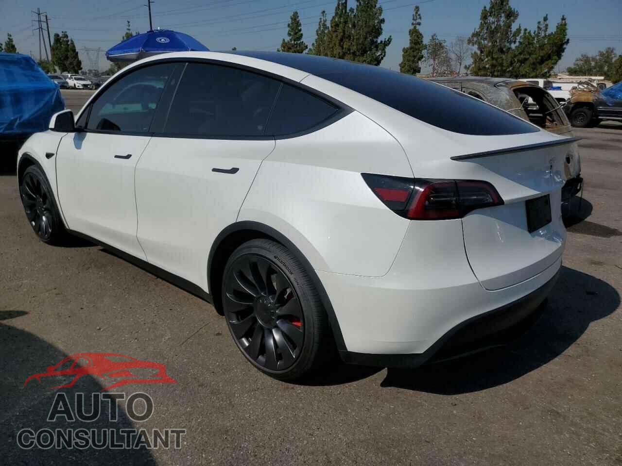TESLA MODEL Y 2024 - 7SAYGDEF2RF117616