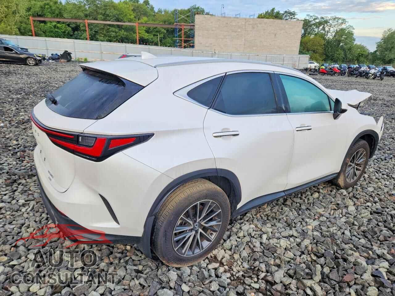 LEXUS NX 2025 - 2T2ADCEZ9SC005509