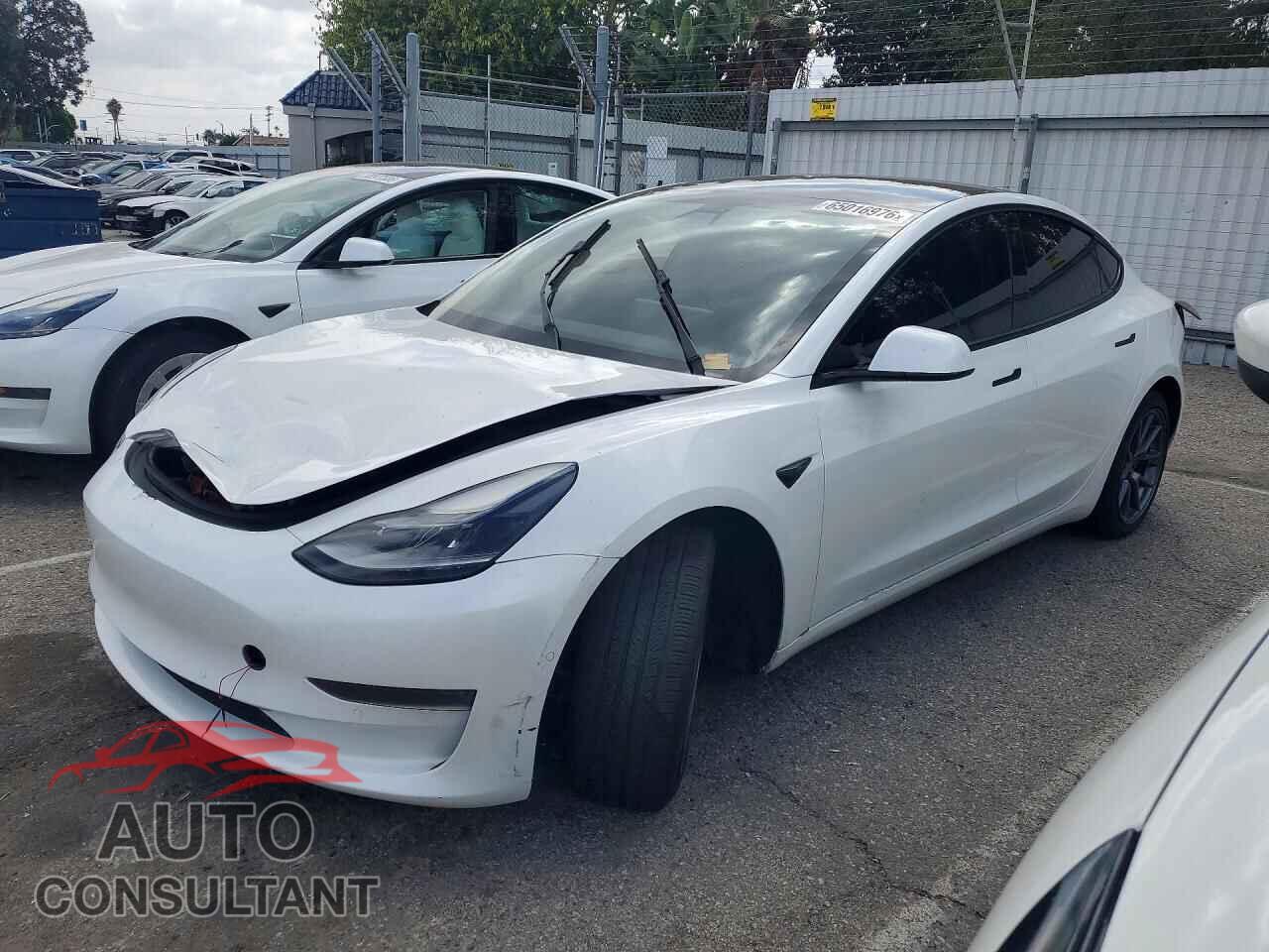 TESLA MODEL 3 2021 - 5YJ3E1EA2MF002782