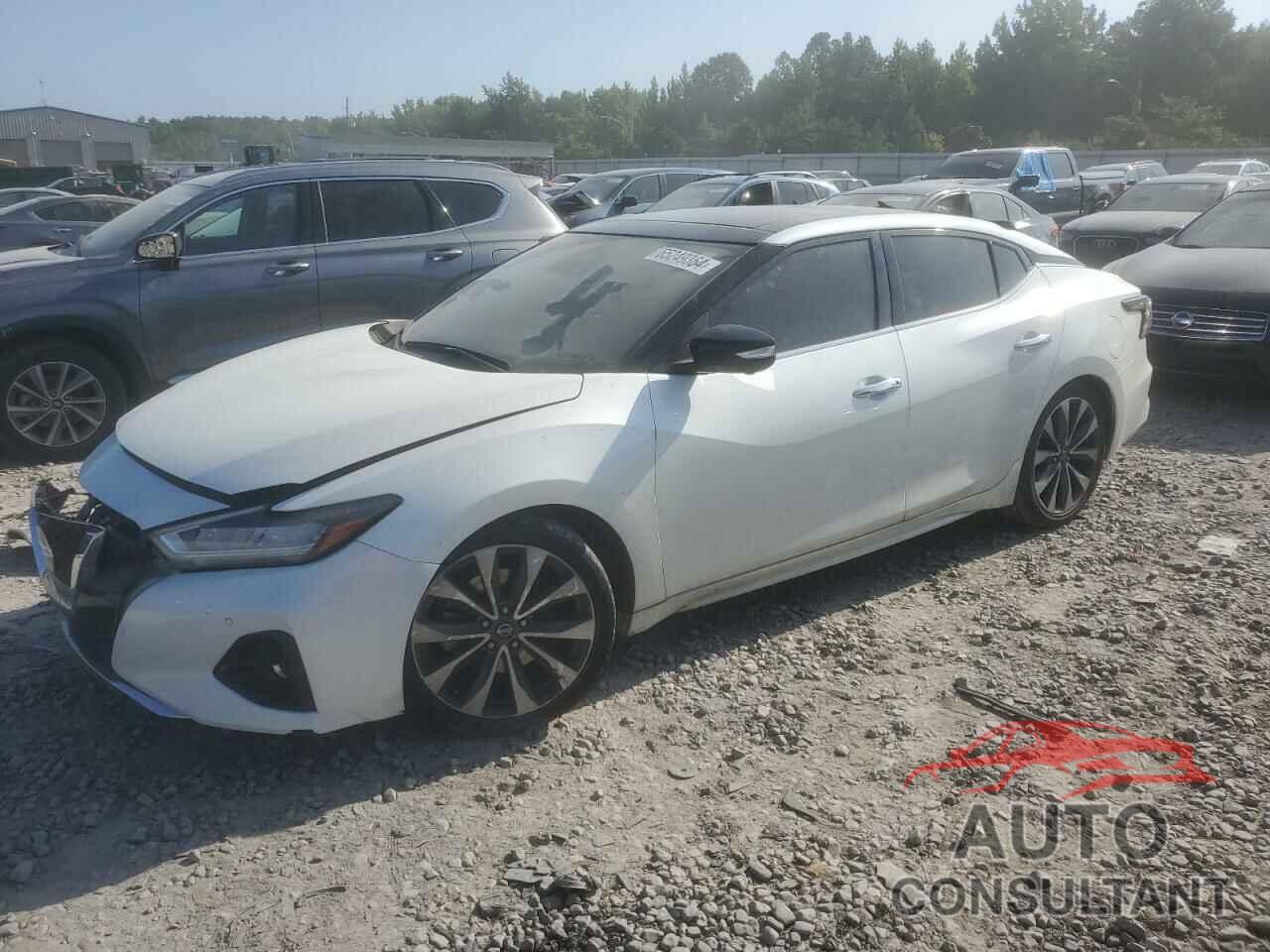 NISSAN MAXIMA 2019 - 1N4AA6AVXKC372550