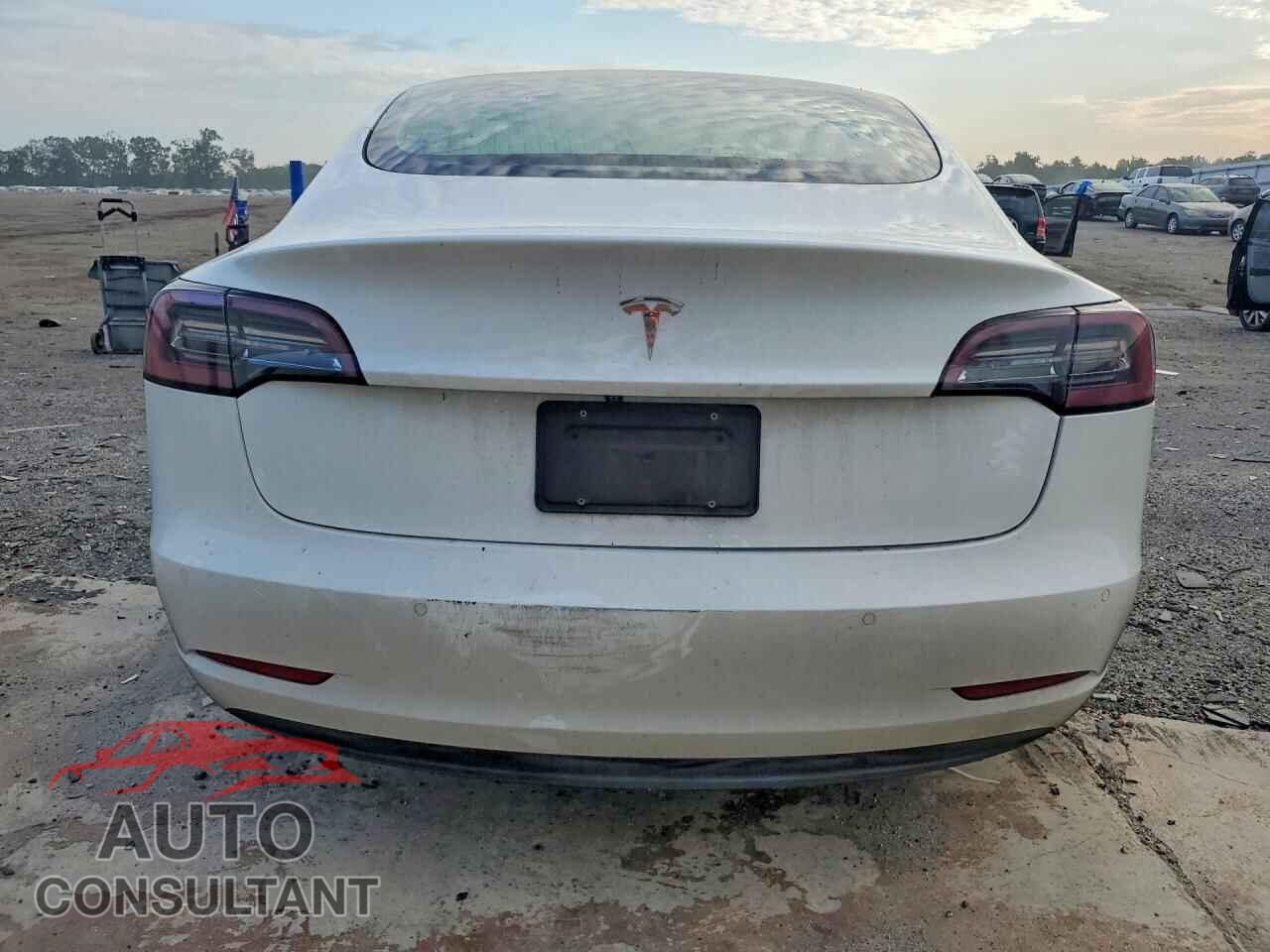 TESLA MODEL 3 2020 - 5YJ3E1EA3LF717665