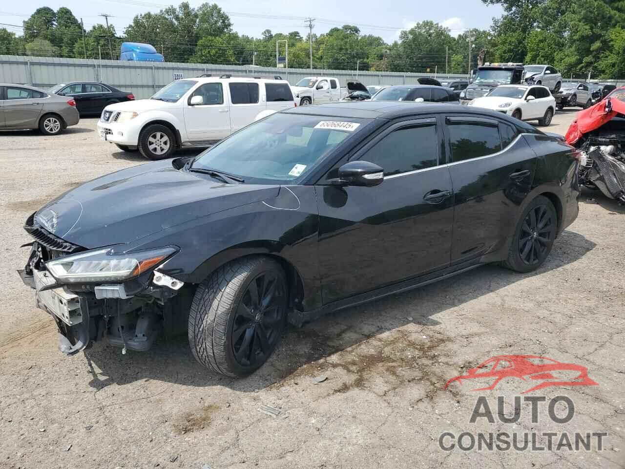 NISSAN MAXIMA 2019 - 1N4AA6AV3KC379890