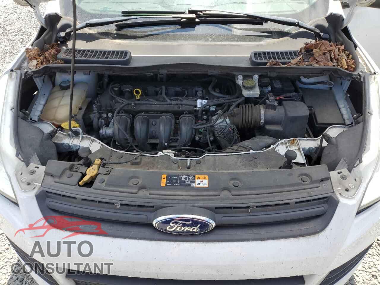 FORD ESCAPE 2013 - 1FMCU0F73DUC55645