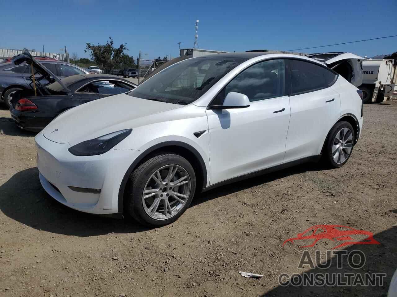 TESLA MODEL Y 2023 - 7SAYGDEE0PF648317